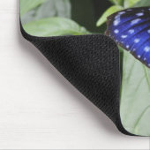 Streifenblauer Crow (Euploea mulciber) auf Blatt, Mousepad (Ecke)