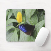 Streifenblauer Crow (Euploea mulciber) auf Blatt, Mousepad (Mit Mouse)