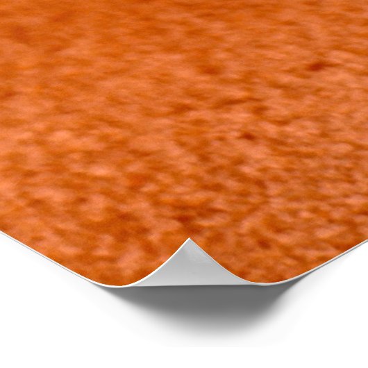 Streifenfox Poster (Ecke)