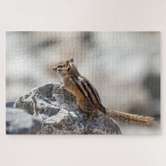 Streifenhörnchen auf den Felsen – Schnappschuss au Puzzle (Horizontal)