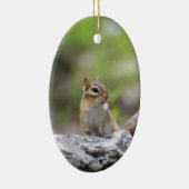 Streifenhörnchen auf einem Felsen Keramikornament (Rechts)