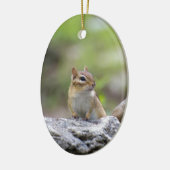 Streifenhörnchen auf einem Felsen Keramikornament (Links)