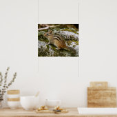 Streifenhörnchen auf Patrouille Poster (Küche)