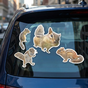 Streifenhörnchen-Aufkleber-Sammlung Aufkleber