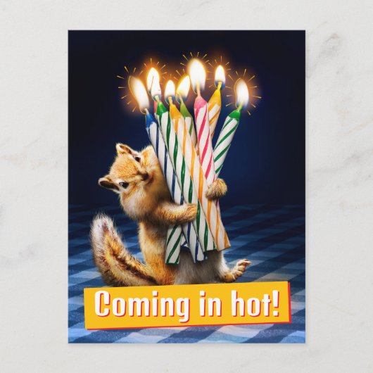 Streifenhörnchen-Geburtstagskerzen Postkarte (Vorderseite)