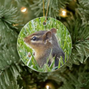 Streifenhörnchen Keramik Ornament
