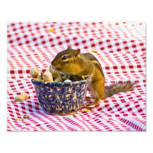 Streifenhörnchen Picknick Fotodruck