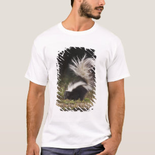 Streifenskunk, Mephitis mephitis T-Shirt