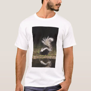 Streifenskunk, Mephitis mephitis T-Shirt