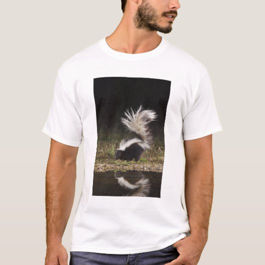 Streifenskunk, Mephitis mephitis T-Shirt (Vorderseite)
