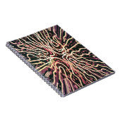 Streifenstruktur Notizblock (Rechte Seite)