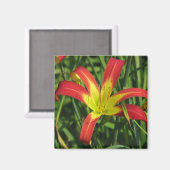 Streiker Magnet (Vorderseite/Rückseite)