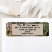 Streit im Nordwestpazifik (Insitu)