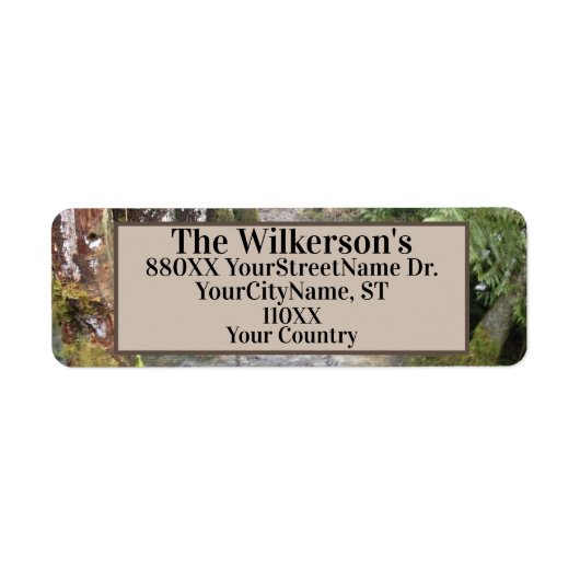 Streit im Nordwestpazifik (Vorne)