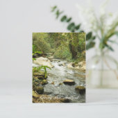 Streit in den Hügeln Postkarte (Stehend Vorderseite)