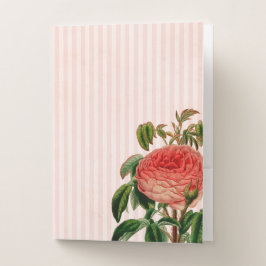 STREITPINKSTREIFEN MIT ROTER WASSERFARBE-BLUME BEWERBUNGSMAPPE