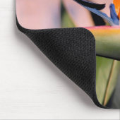 Strelitzia-Blume Mousepad (Ecke)