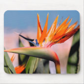 Strelitzia-Blume Mousepad (Vorne)