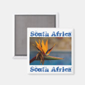 Strelitzia Blume Südafrika Naturmagnet Magnet (Vorderseite/Rückseite)