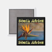 Strelitzia Blume Südafrika Naturmagnet Magnet (Vorderseite/Rückseite)