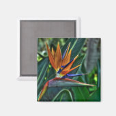 Strelitzia - Blume Teneriffa Magnet (Vorderseite/Rückseite)