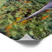 Strelitzia by Marianne North - Exotische Landschaf Poster (Ecke)