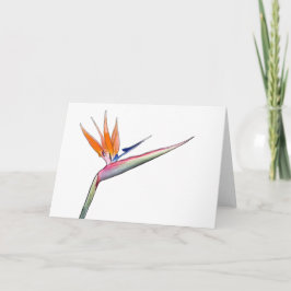 Strelitzia-Karte Feiertagskarte