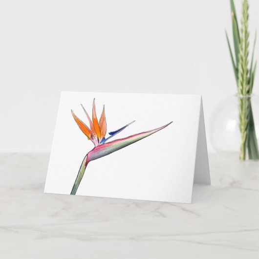 Strelitzia-Karte Feiertagskarte (Vorderseite)