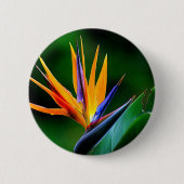 Strelitzia. Paradiesvogel Blume Button (Vorderseite)