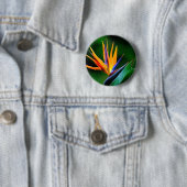 Strelitzia. Paradiesvogel Blume Button (Beispiel)