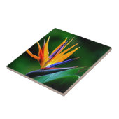 Strelitzia. Paradiesvogel Blume Fliese (Seite)