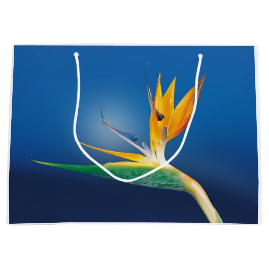 Strelitzia. Paradiesvogel Blume Große Geschenktüte (Vorderseite)