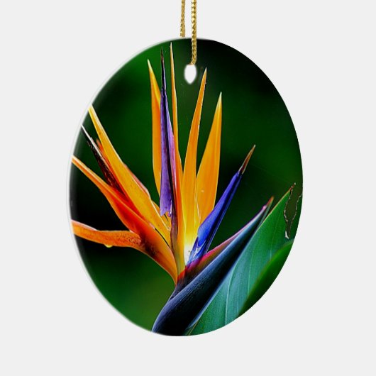 Strelitzia. Paradiesvogel Blume Keramikornament (Rechts)