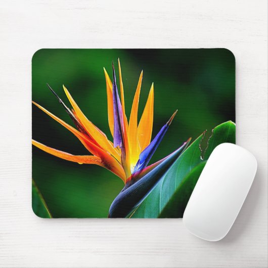 Strelitzia. Paradiesvogel Blume Mousepad (Mit Mouse)