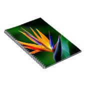 Strelitzia. Paradiesvogel Blume Notizblock (Rechte Seite)