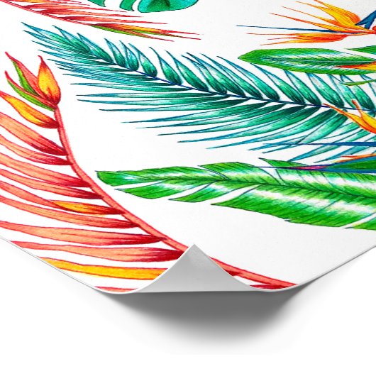 Strelitzia - Paradiesvogel Poster (Ecke)