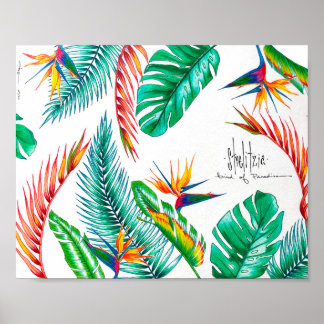 Strelitzia - Paradiesvogel Poster