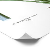 Strelitzia reginae poster (Ecke)