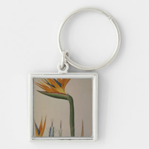 Strelitzia Reginae, von 'Les Strelitziacees Schlüsselanhänger