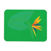 Strelitzie Magnet (Horizontal)