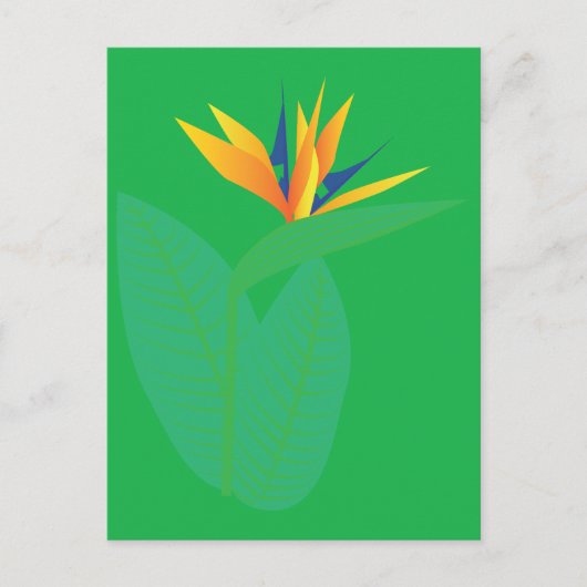 Strelitzie Postkarte (Vorderseite)