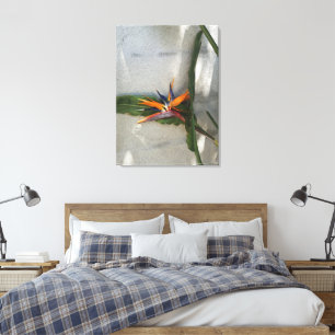 Strelitzie vor einer Wand Leinwanddruck