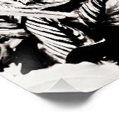 Streng Schwarz & Weiß Wonder TRIO Glossy Poster (Ecke)