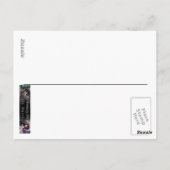 Strenge Fee Fantasy Postkarte (Rückseite)