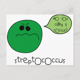 Streptokokke Postkarte