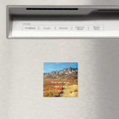 Stress Free Magnet (In Situ (Geschirrspüler))