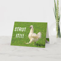 Stress! Geburtstag von Hühnern und Rooster