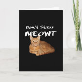 Stress Meowt nicht - Orange Cat Stress Me out Karte (Vorderseite)