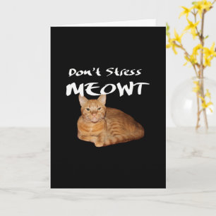 Stress Meowt nicht - Orange Cat Stress Me out Karte