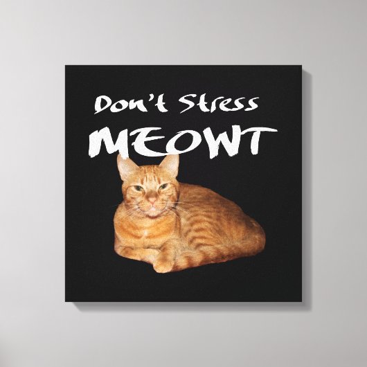 Stress Meowt nicht - Orange Cat Stress Me out Leinwanddruck (Vorderseite)